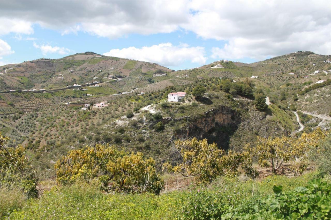 Ferienwohnung Casadubislav Canillas de Albaida Exterior foto