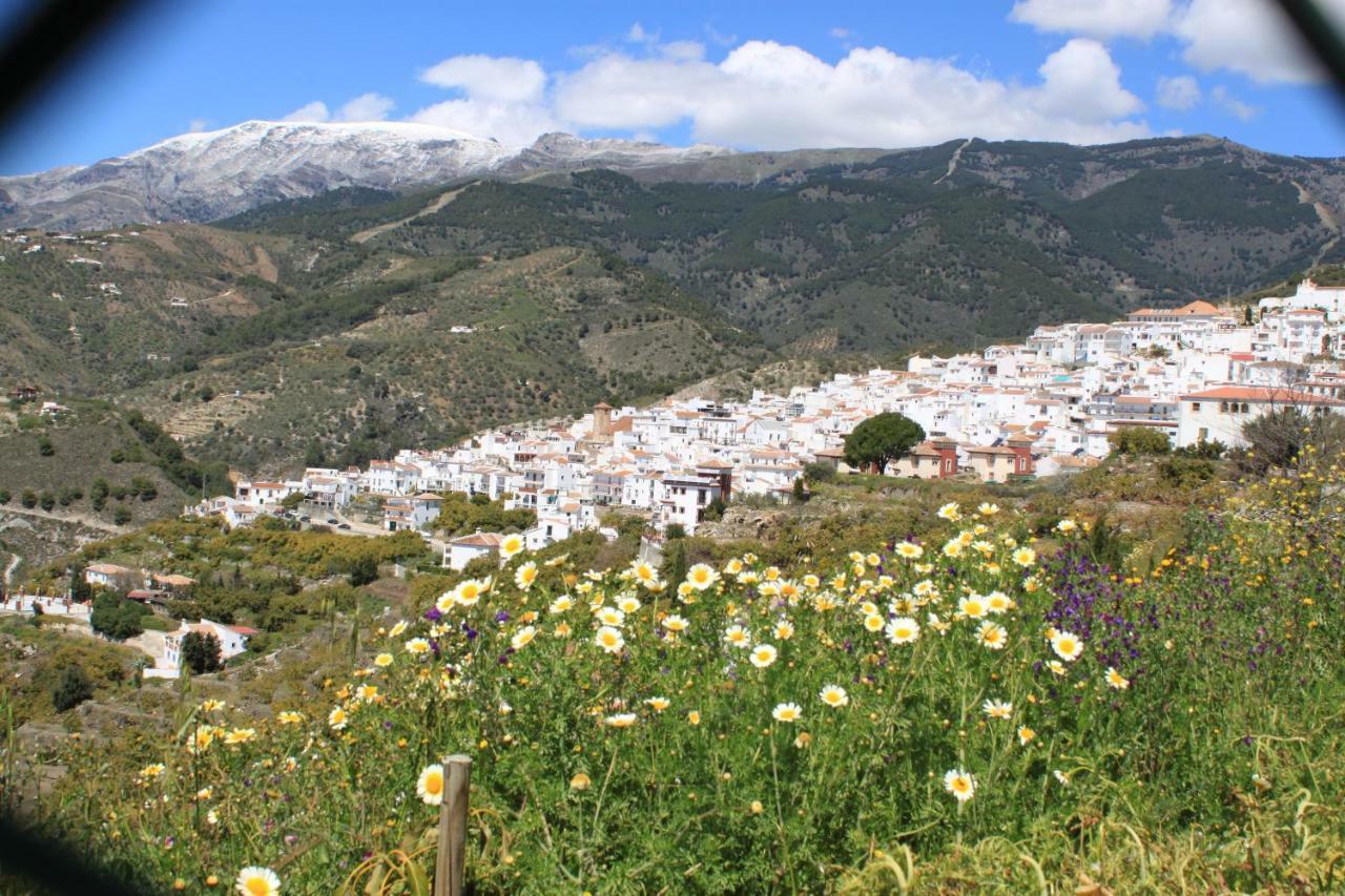 Ferienwohnung Casadubislav Canillas de Albaida Exterior foto